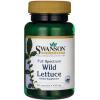 Swanson - Full Spectrum Wild Lettuce