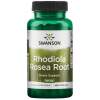 Swanson - Rhodiola Rosea Root 100 caps