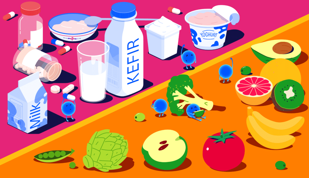 Kan probiotika hjælpe med vægttab? En omfattende analyse