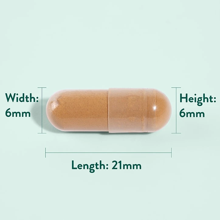 Holland & Barrett - Astragalus 470mg - 90 kapsula - Tradicionalna podrška vitalnosti - Slika 4