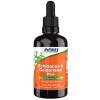 NOW Foods - Echinacea & Goldenseal Plus - 60 ml. -> NOW Foods - Echinacea & Goldenseal Plus - 60 ml